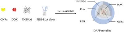 Design of DOX-GNRs-PNIPAM@PEG-PLA Micelle With Temperature and Light Dual-Function for Potent Melanoma Therapy